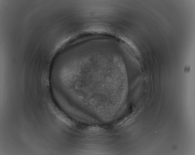 X0000092080399200710101044