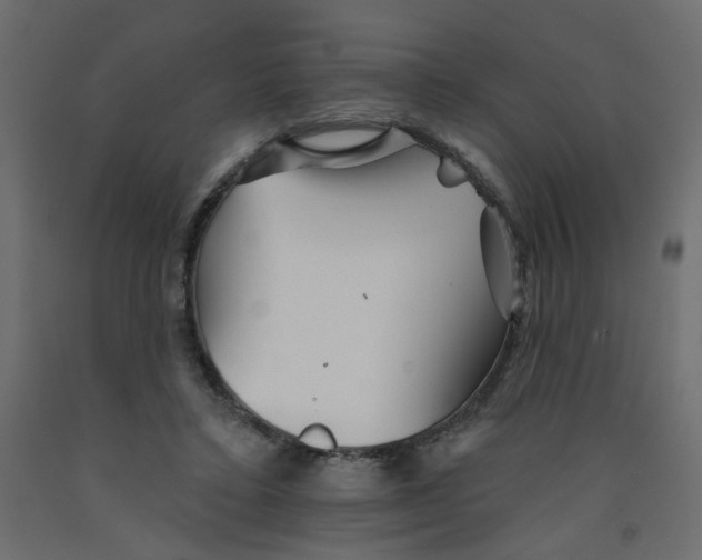 X0000092080403200710101044