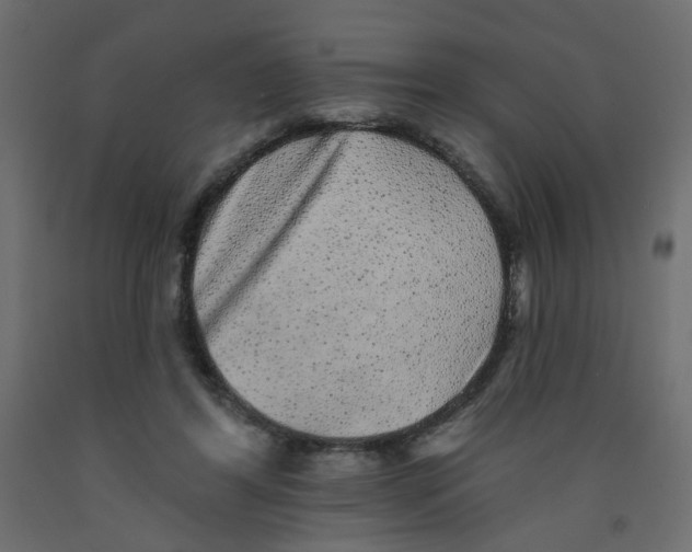 X0000092080404200710101044