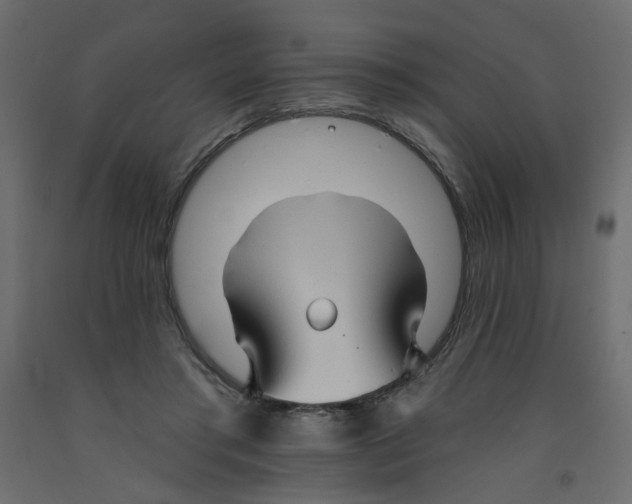 X0000092080405200710101044