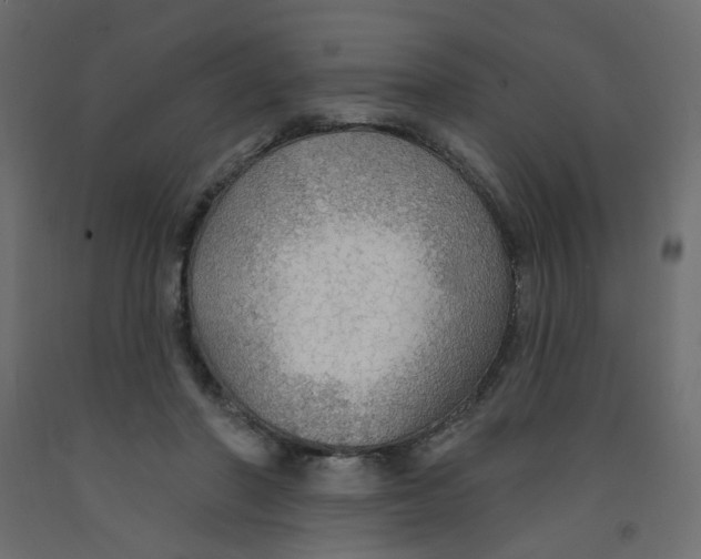 X0000092080406200710101044