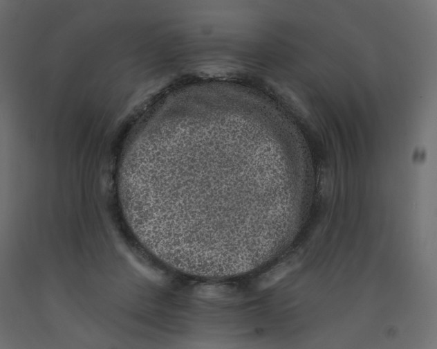 X0000092080408200710101044