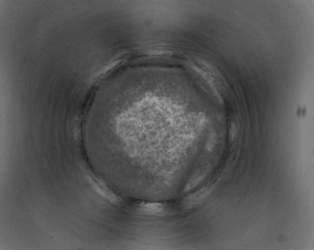 X0000092080409200710101044