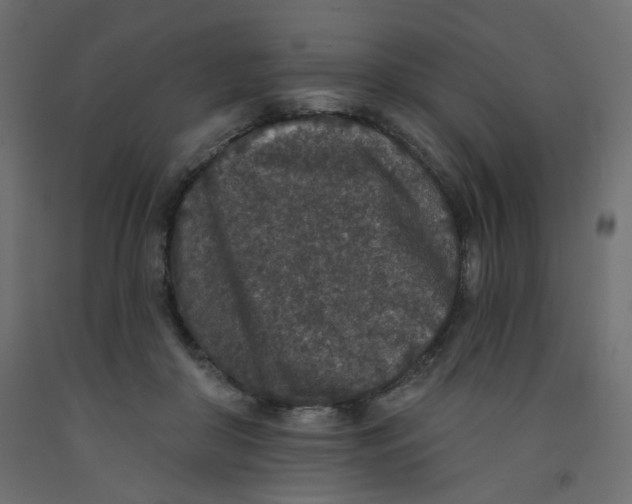 X0000092080410200710101044