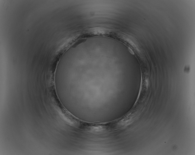 X0000092080411200710101044