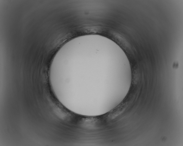 X0000092080414200710101044