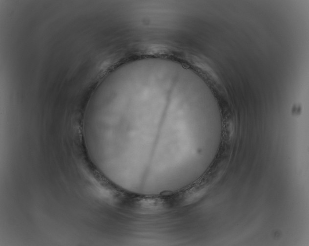 X0000092080415200710101044