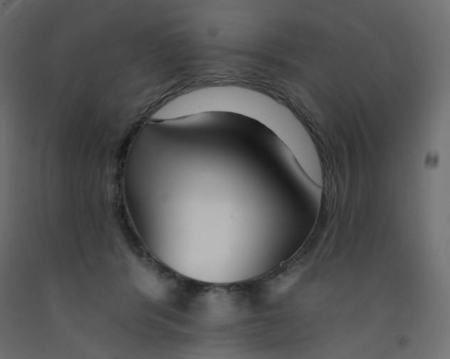 X0000092080416200710101044