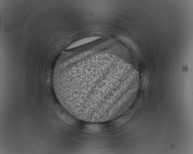 X0000092080417200710101044