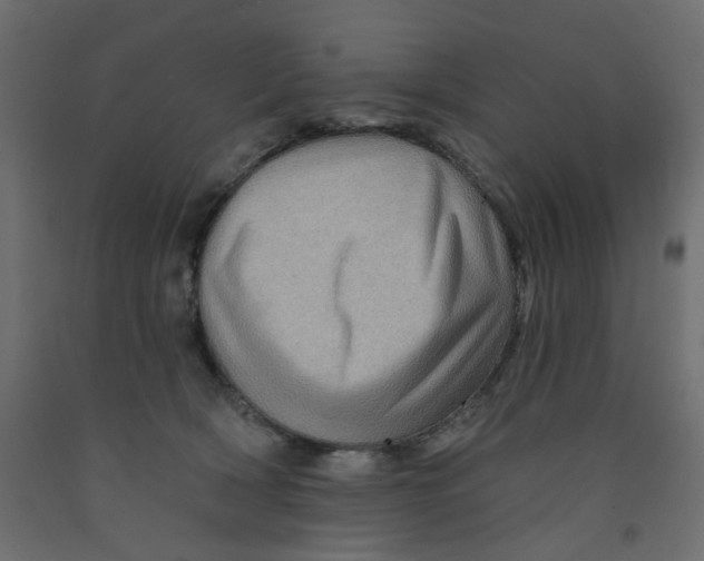 X0000092080418200710101044