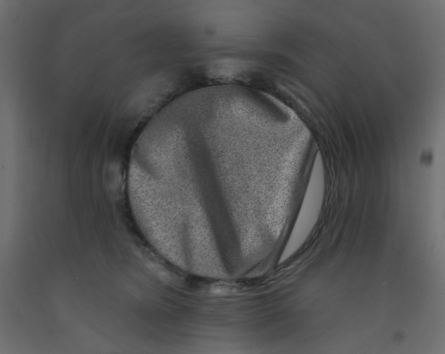 X0000092080420200710101044