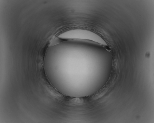 X0000092080421200710101044