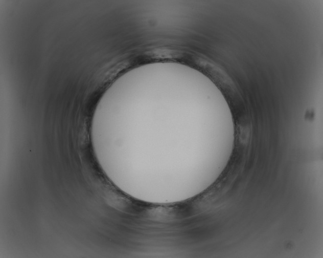 X0000092080422200710101044