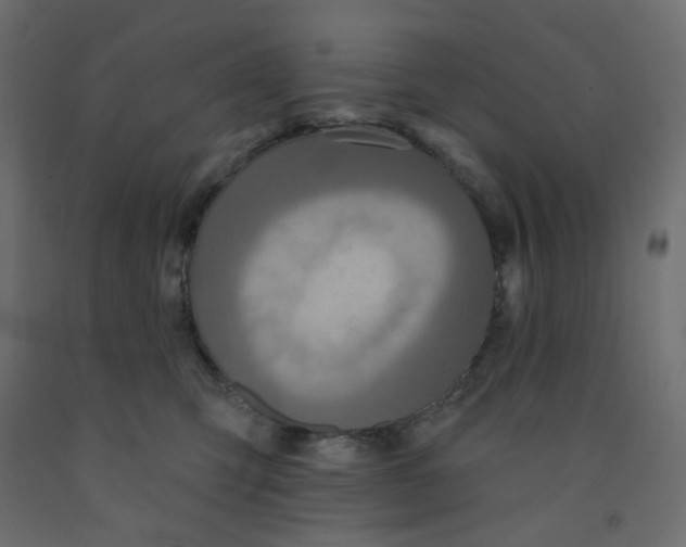 X0000092080423200710101044