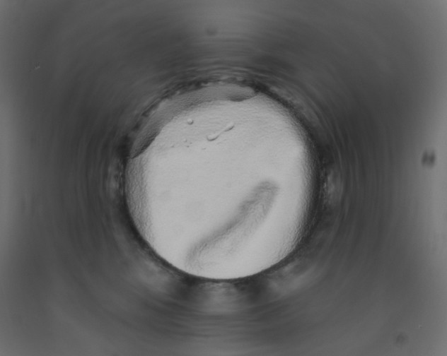 X0000092080424200710101044