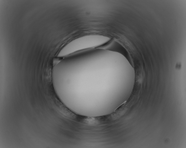 X0000092080425200710101044