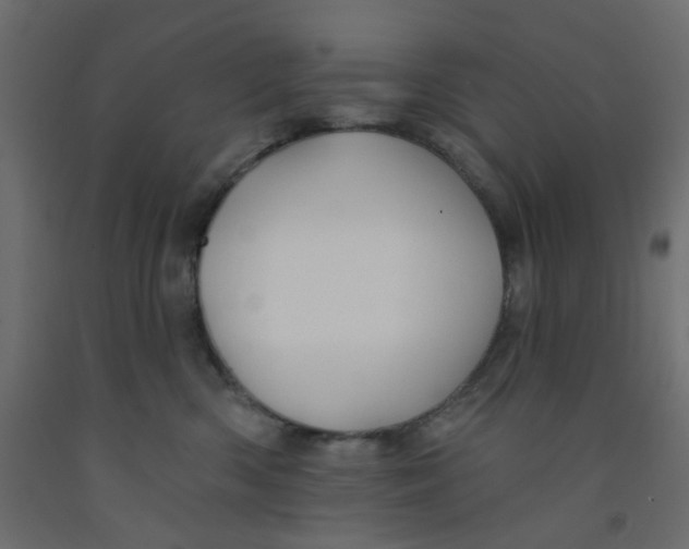 X0000092080426200710101044