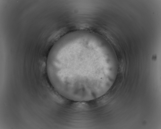 X0000092080427200710101044