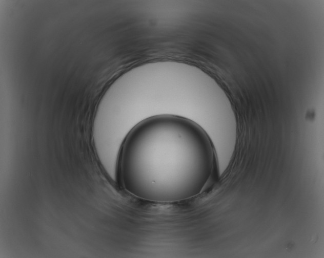 X0000092080428200710101044