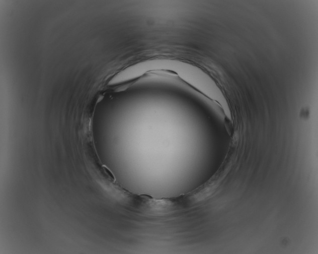 X0000092080429200710101044