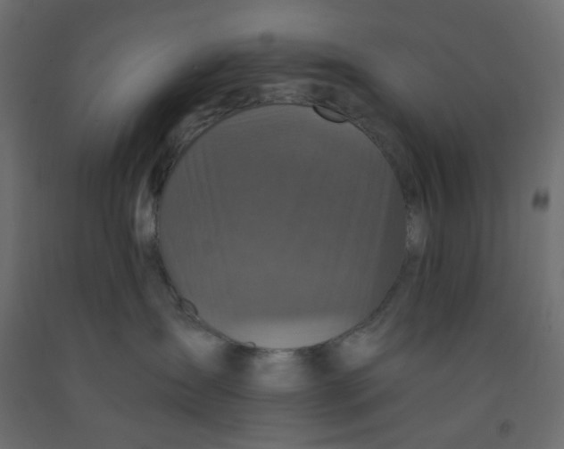 X0000092080431200710101044