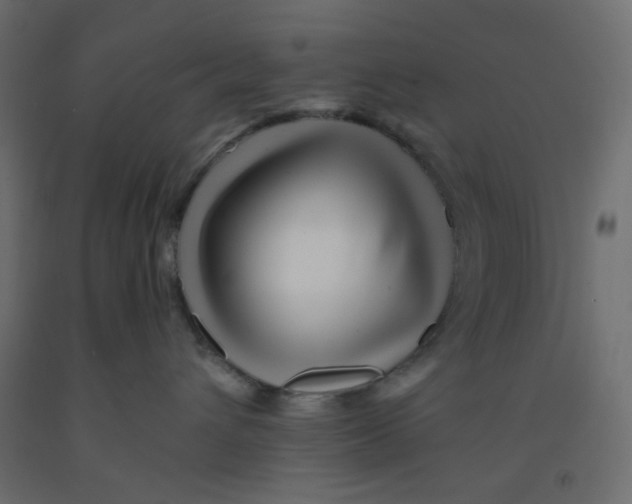 X0000092080432200710101044