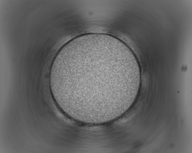 X0000092080433200710101043