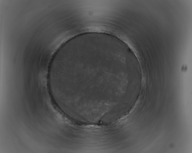 X0000092080434200710101043