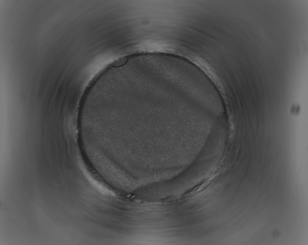 X0000092080438200710101043