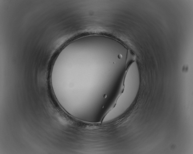 X0000092080440200710101043