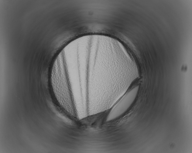 X0000092080442200710101043