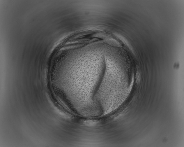 X0000092080444200710101043