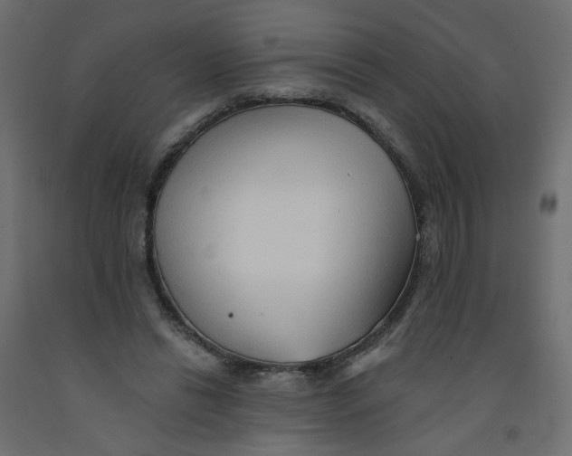 X0000092080446200710101043