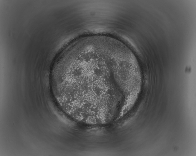 X0000092080447200710101043