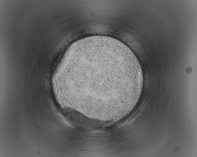 X0000092080449200710101043