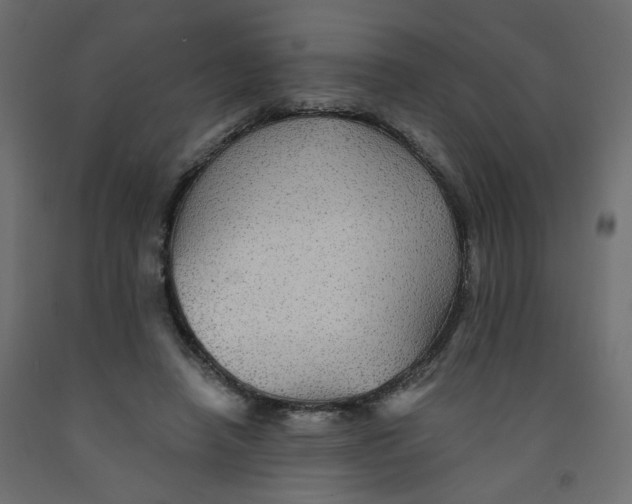 X0000092080450200710101043