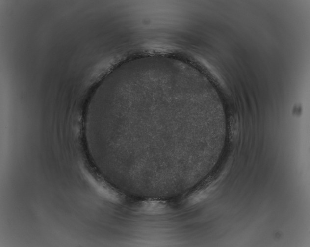 X0000092080451200710101044