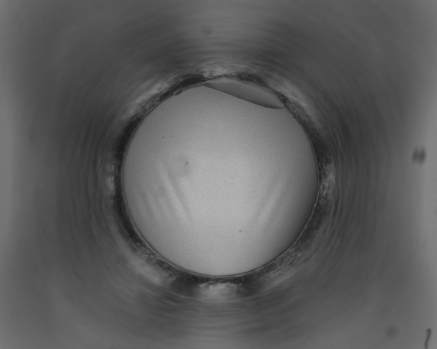 X0000092080452200710101044