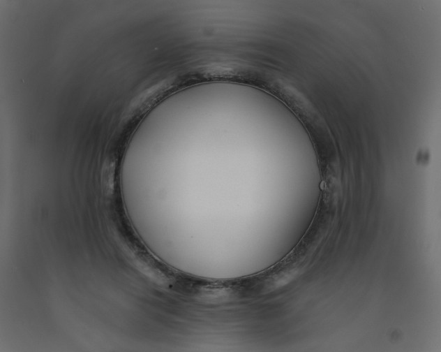 X0000092080454200710101044