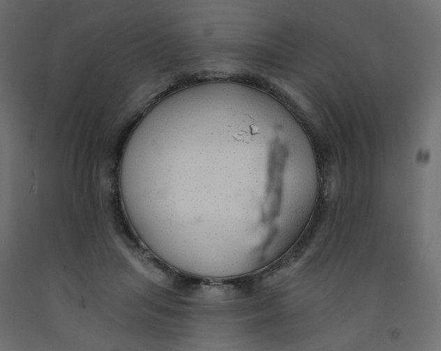 X0000092080455200710101044