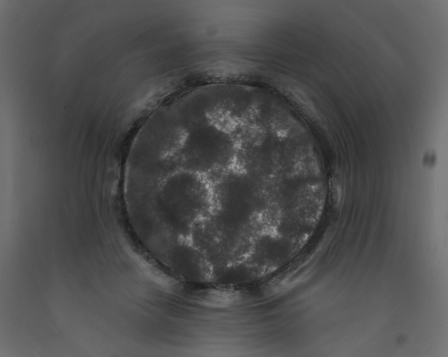 X0000092080458200710101044