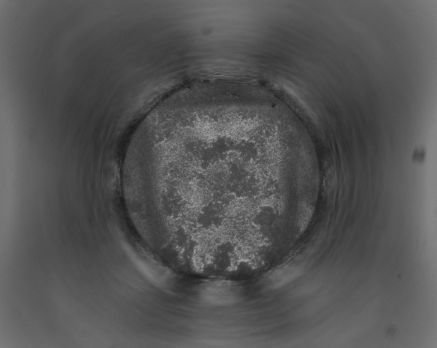 X0000092080459200710101044