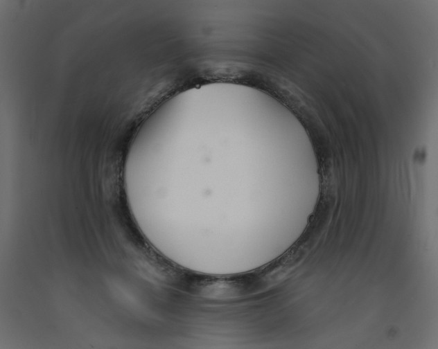 X0000092080460200710101044