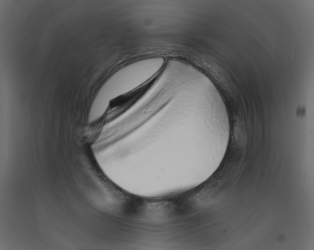 X0000092080461200710101044