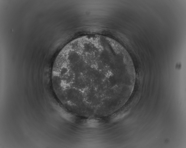 X0000092080462200710101044