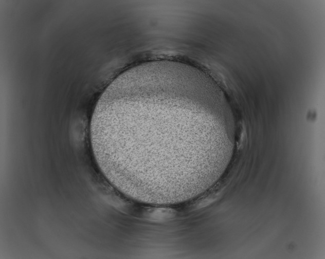 X0000092080463200710101044