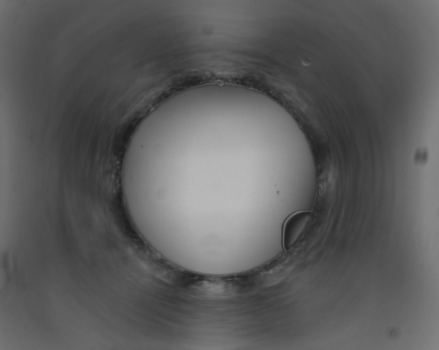 X0000092080464200710101044