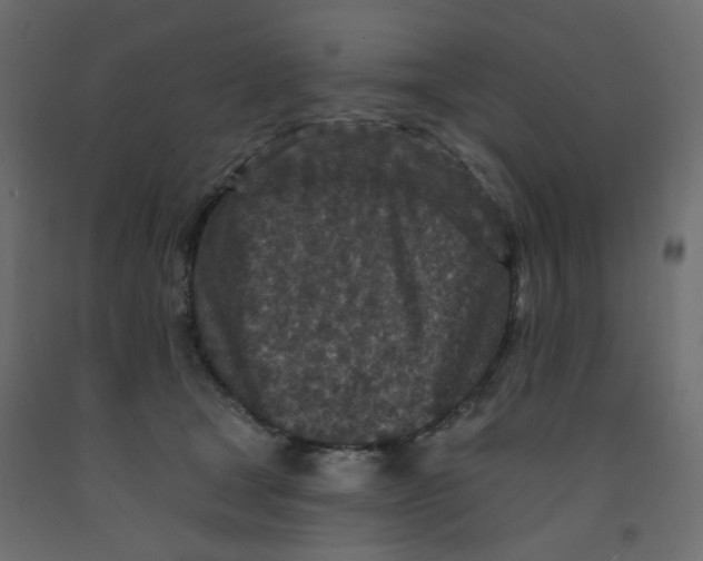 X0000092080465200710101044