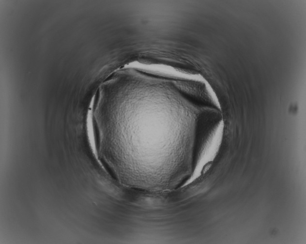 X0000092080466200710101044