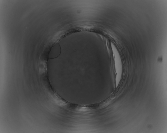 X0000092080467200710101044